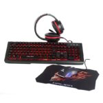 COMBO GAMER 4 IN 1 PANTRO HA-880C HALION